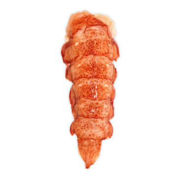 Cola de Bogavante