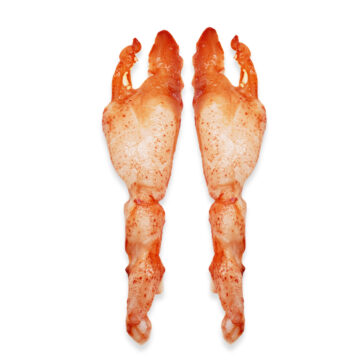 Juego de Pinzas y Codos de Bogavante