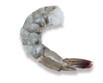 Cola de Langostino PTO
