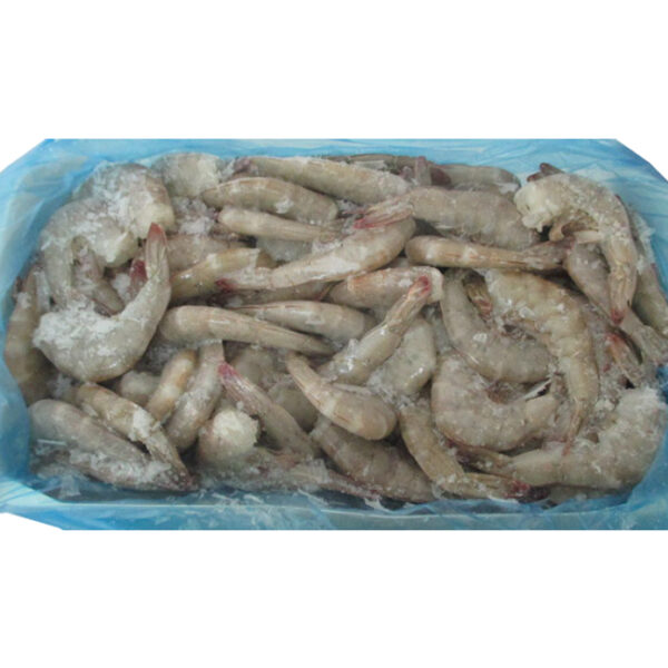 PASTILLLA DE LANGOSTINO